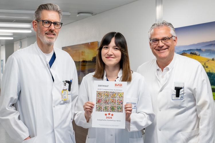 Drei Sterne für die Diabetesbehandlung