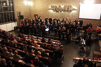 Bohnen erinnern (auch) ans Konzert