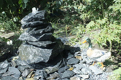 Wasserfall und Sinnespfad neu