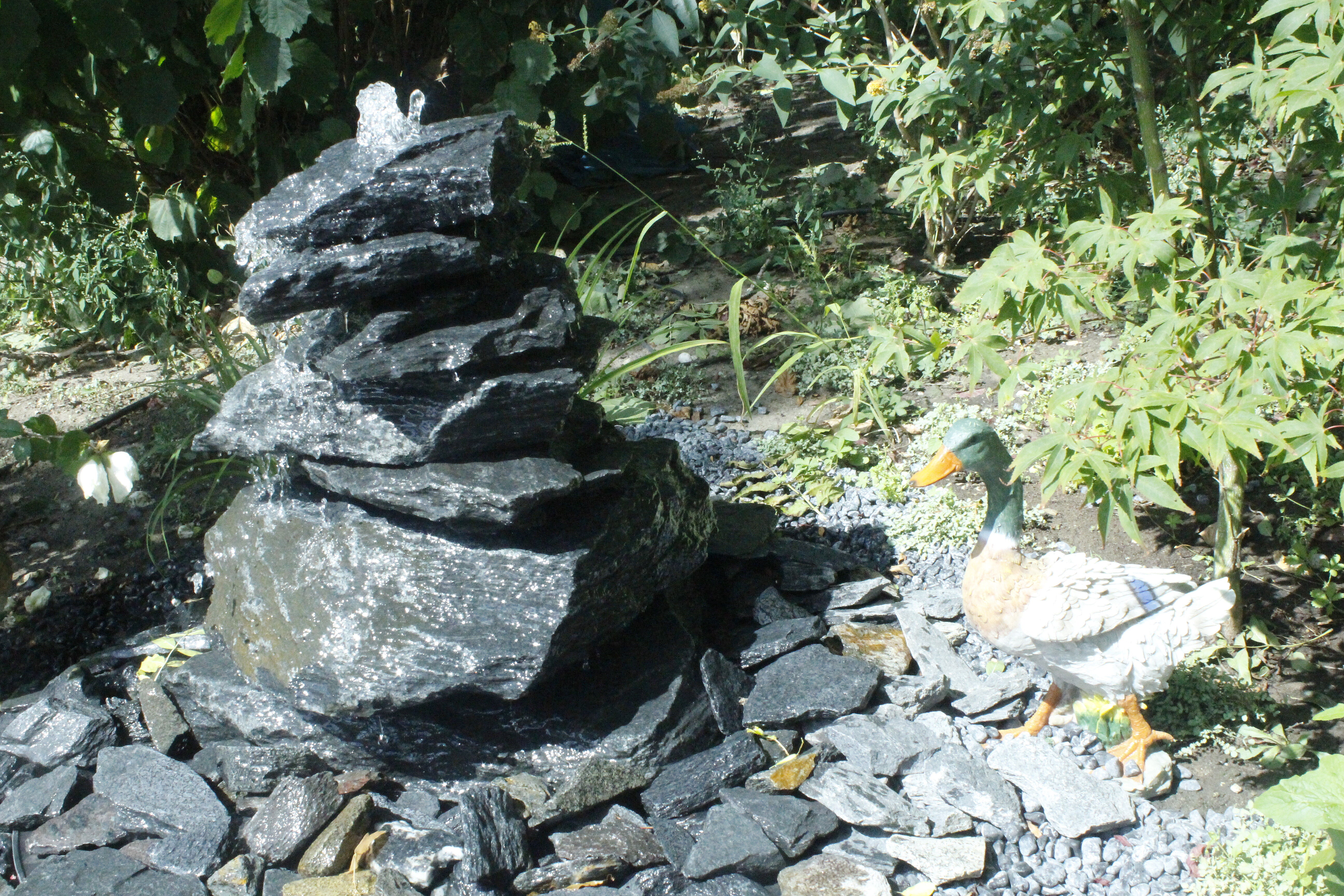 Wasserfall und Sinnespfad neu