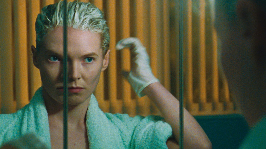 Queer leben, lieben, sein