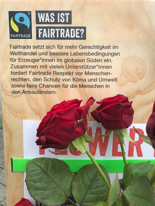 Rote Rosen zum Weltfrauentag
