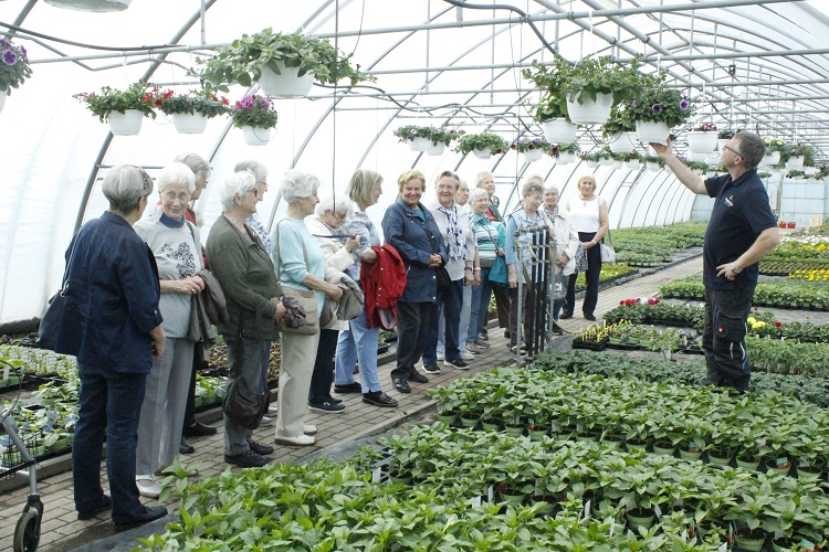 Von Kongo-Lieschen und Kaninchen 