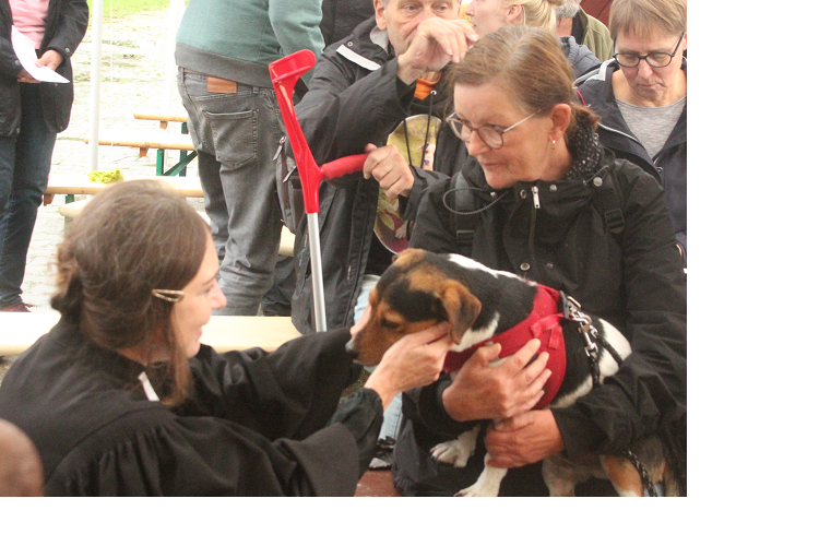  Ökumenischer Tiergottesdienst im Tierheim