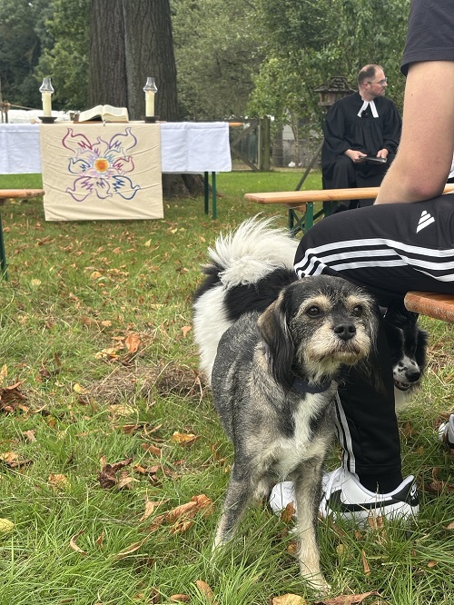 „Miteinander statt gegeneinander – das ist die Botschaft“